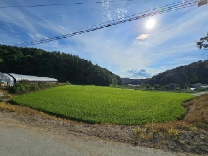 영주시 조암동 220-1 답 경매 물건 사진