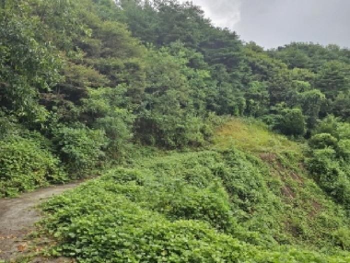 영주시 이산면 신암리 전 경매 물건 사진