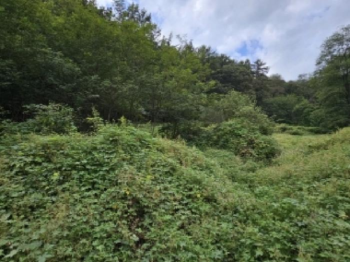영주시 부석면 감곡리 과수원 경매 물건 사진