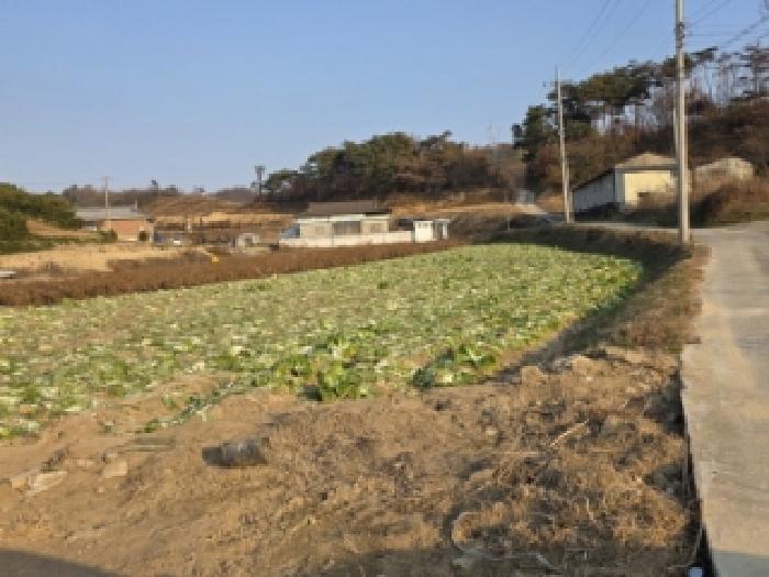 안동시 풍산읍 하리리 전 경매 물건 사진