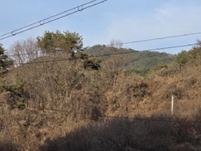 안동시 녹전면 매정리 대지,임야,전답 경매 물건 사진