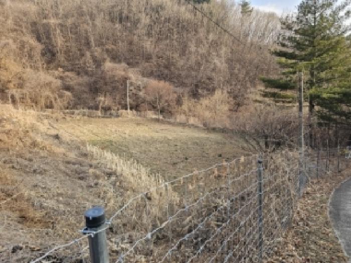 봉화군 물야면 오전리 전답 경매 물건 사진