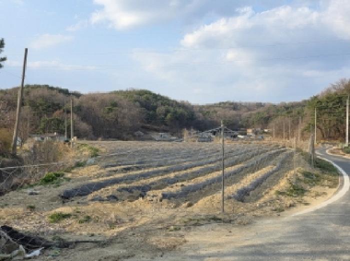 안동시 풍산읍 매곡리 답 경매 물건 사진