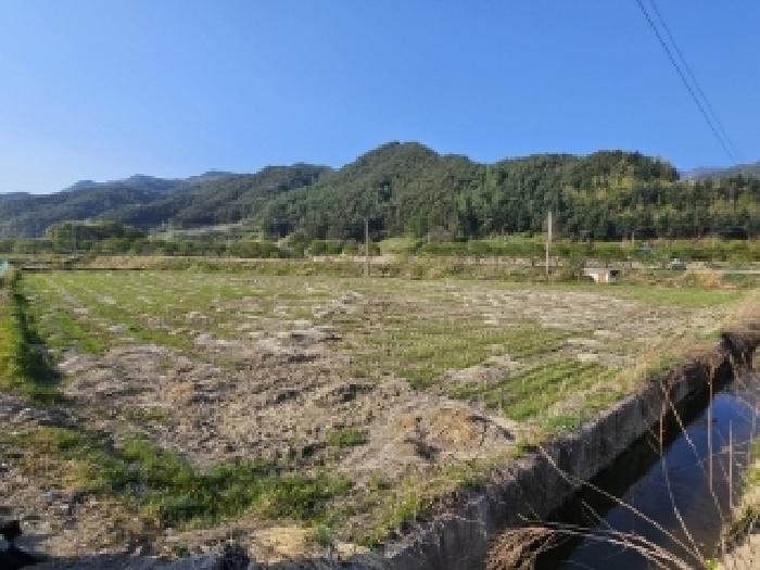 봉화군 춘양면 도심리 전 경매 물건 사진