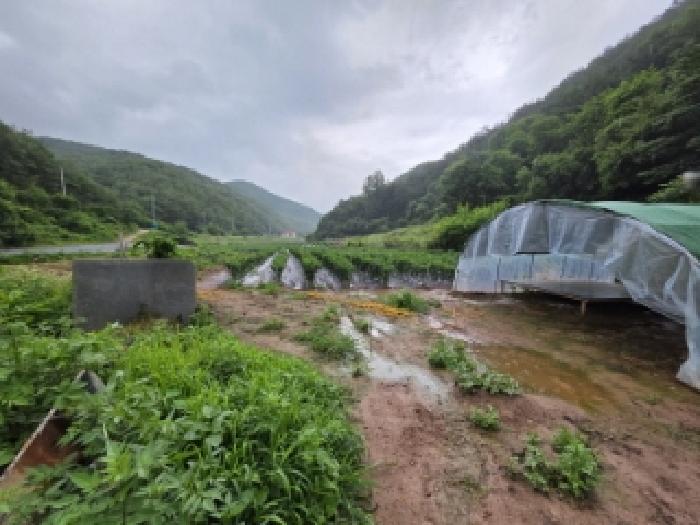 안동시 예안면 계곡리 과수원 경매 물건 사진