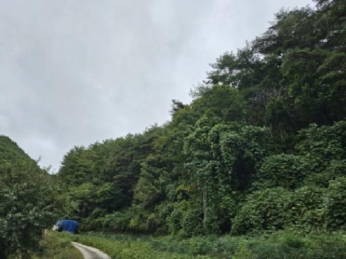 봉화군 재산면 갈산리 임야 경매 물건 사진