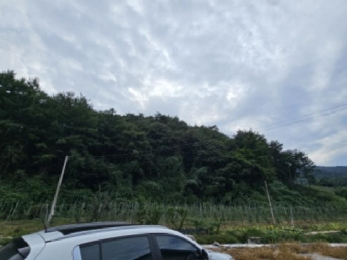 봉화군 춘양면 서벽리 임야 경매 물건 사진