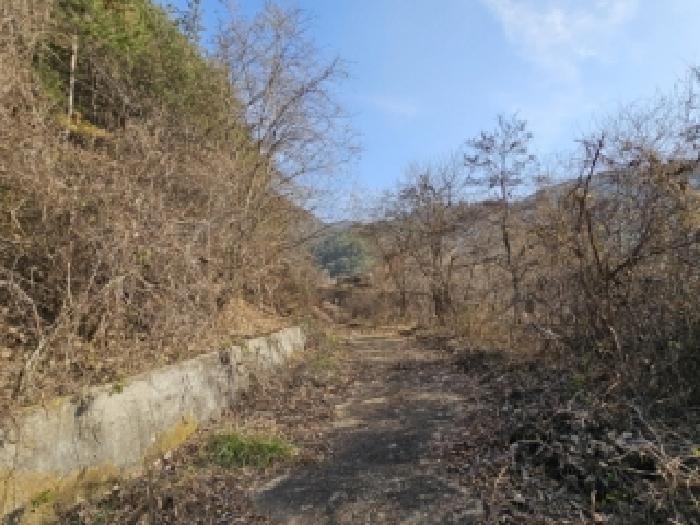 봉화군 소천면 임기리 전답 경매 물건 사진