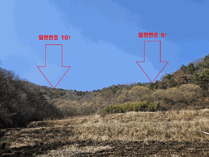 경주시 양남면 석읍리 답 경매 물건 사진