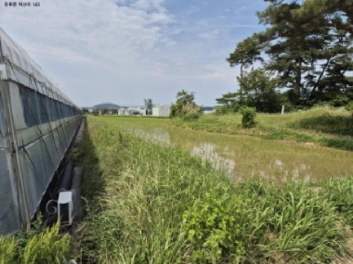 경주시 천북면 덕산리 답 경매 물건 사진