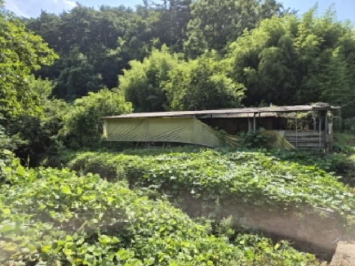 경주시 산내면 외칠리 동물및식물관련시설 경매 물건 사진