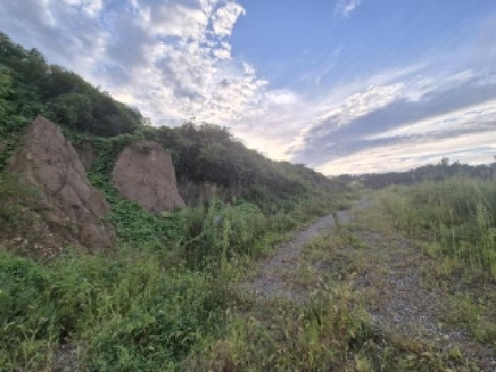 경주시 천군동 산266 임야 경매 물건 사진