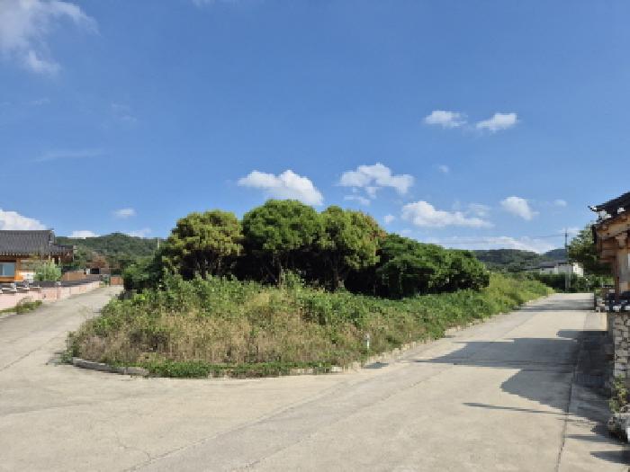 경주시 강동면 안계리 임야 경매 물건 사진