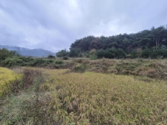 경주시 외동읍 신계리 답 경매 물건 사진