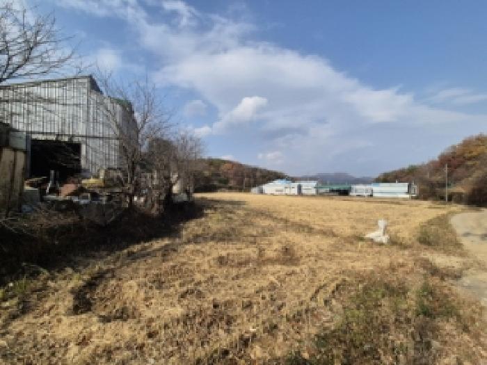 경주시 외동읍 녹동리 전답 경매 물건 사진