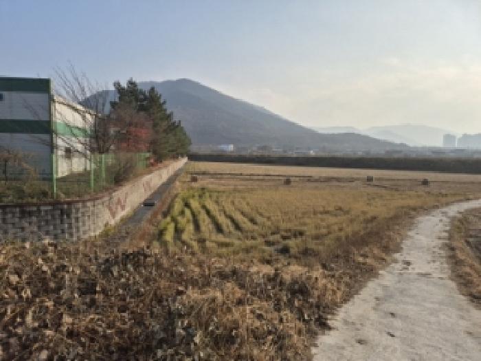 경주시 효현동 1107 답 경매 물건 사진