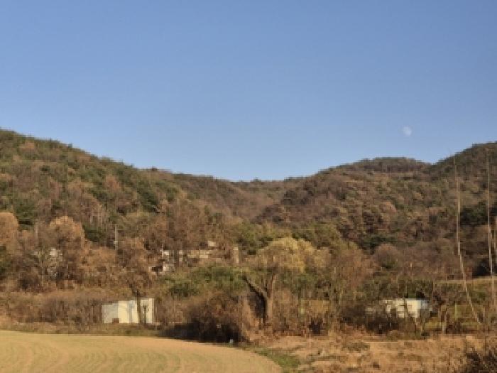 경주시 천북면 화산리 임야 경매 물건 사진