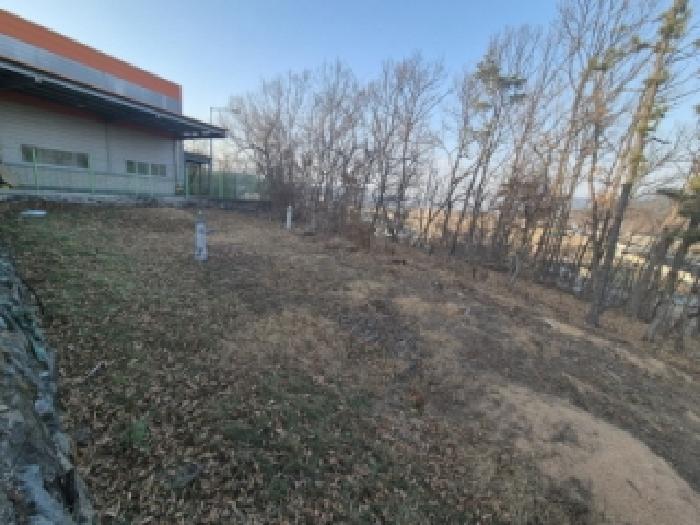 경주시 내남면 월산리 전 경매 물건 사진