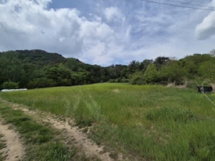경주시 외동읍 냉천리 전 경매 물건 사진