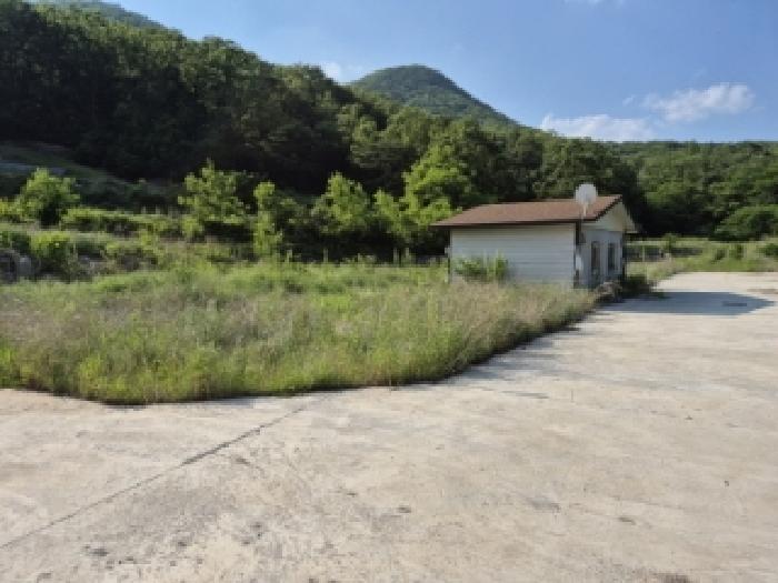 경주시 서면 심곡리 답 경매 물건 사진