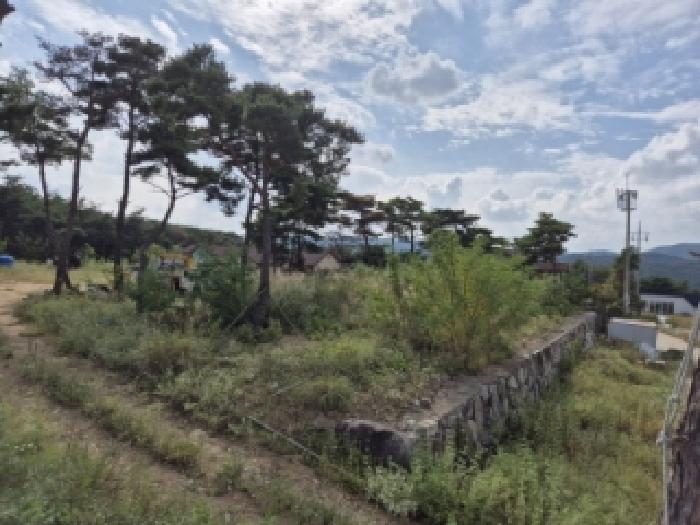 경주시 천북면 물천리 임야 경매 물건 사진