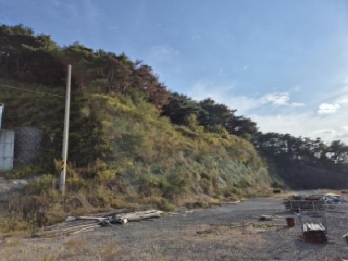 경주시 현곡면 오류리 임야 경매 물건 사진