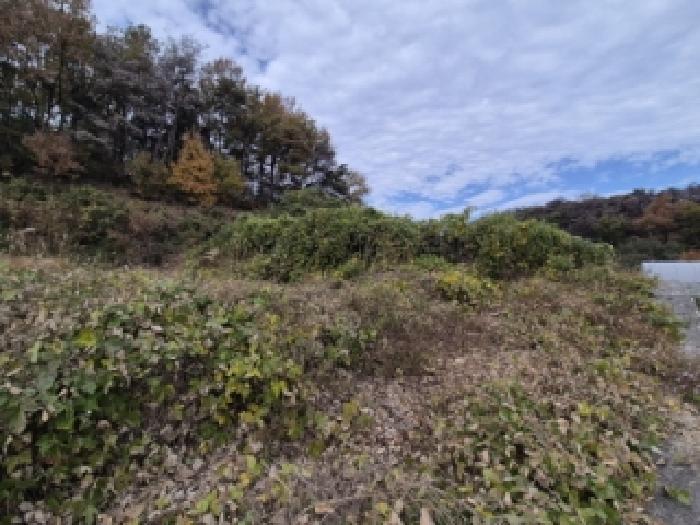 경주시 외동읍 죽동리 대지 경매 물건 사진