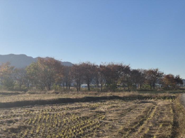 경주시 건천읍 건천리 답 경매 물건 사진