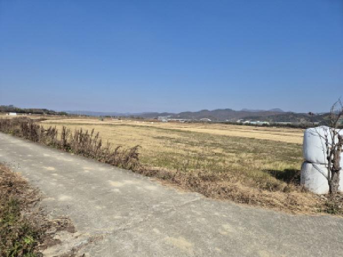 경주시 건천읍 천포리 답 경매 물건 사진