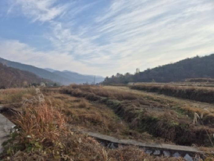 경주시 현곡면 남사리 전답 경매 물건 사진