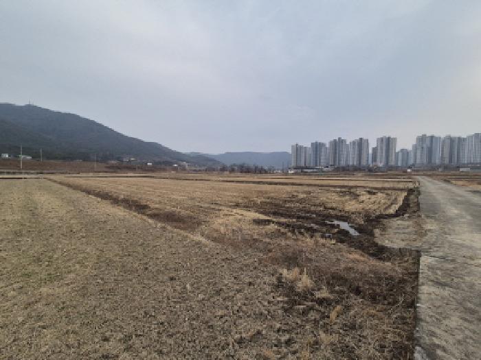 경주시 건천읍 화천리 전답 경매 물건 사진