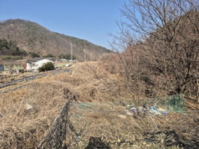 경주시 서면 도계리 전 경매 물건 사진