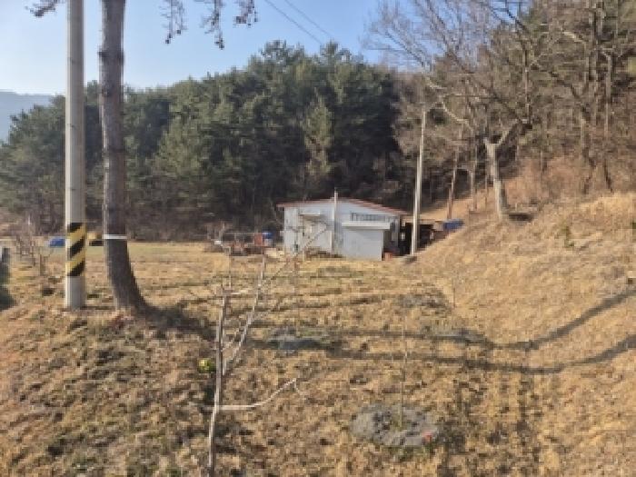 경주시 내남면 비지리 전 경매 물건 사진