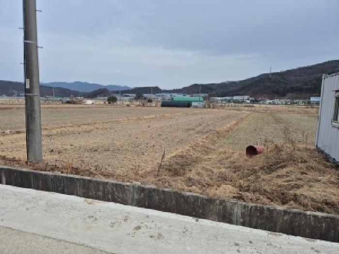 경주시 천북면 신당리 답 경매 물건 사진