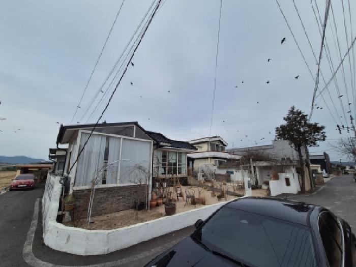 경주시 안강읍 양월리 단독주택 경매 물건 사진