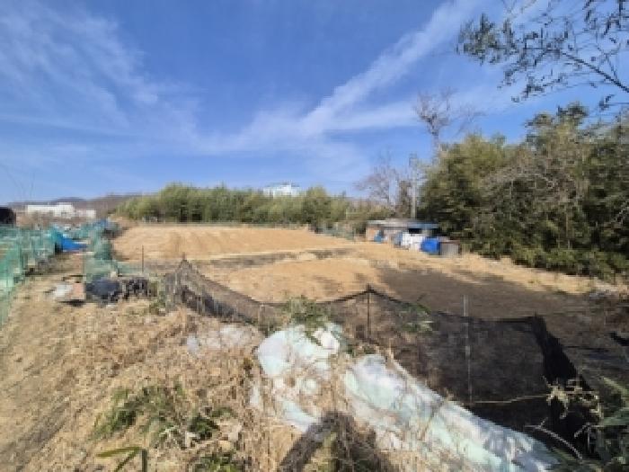 경주시 감포읍 전동리 전답 경매 물건 사진