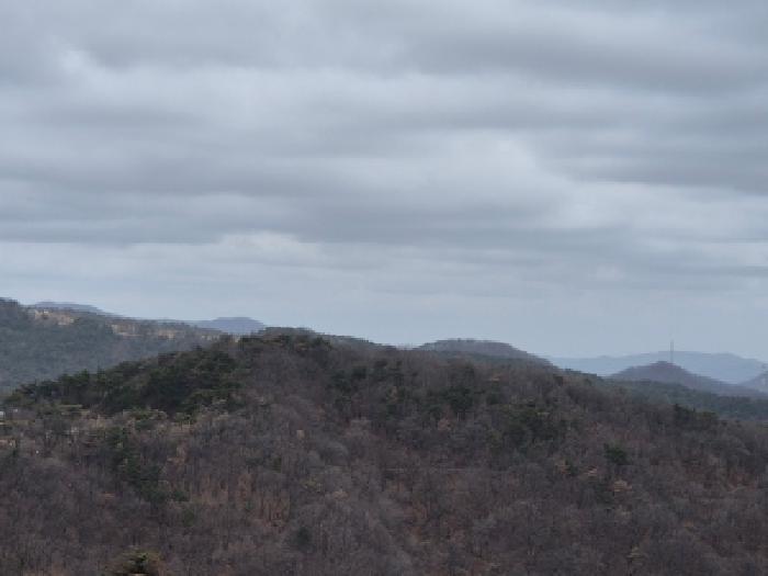 경주시 양남면 신대리 답 경매 물건 사진