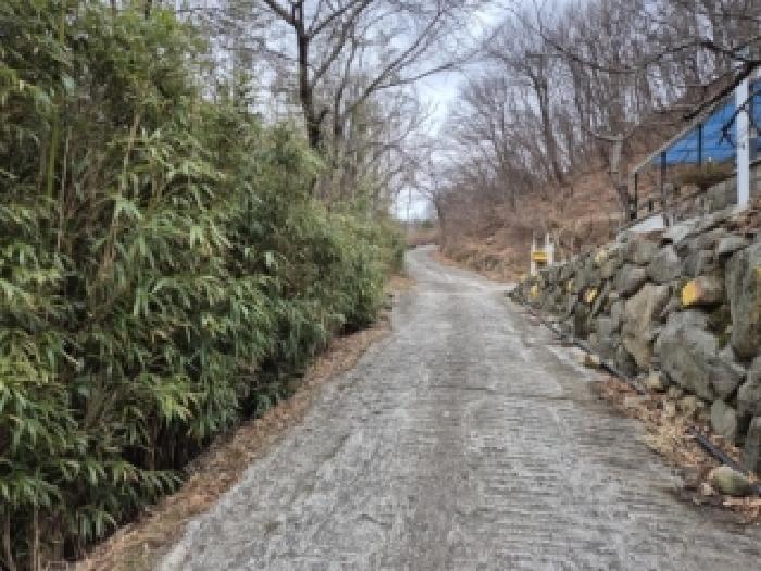 경주시 양남면 신대리 전답 경매 물건 사진