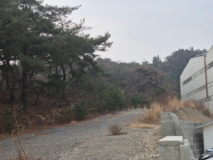 경주시 천북면 화산리 임야 경매 물건 사진