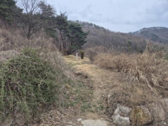 경주시 산내면 내칠리 전답 경매 물건 사진