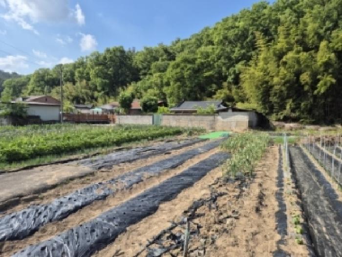 경주시 건천읍 대곡리 단독주택 경매 물건 사진
