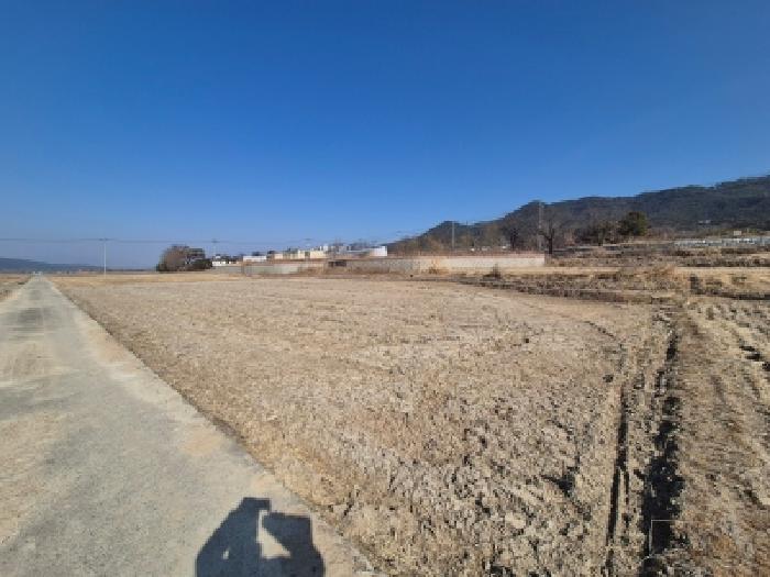 경주시 양남면 신대리 전답 경매 물건 사진