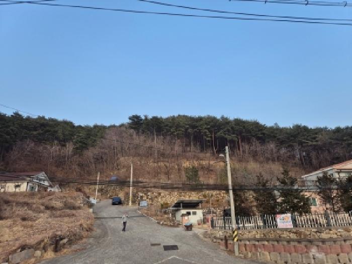경주시 산내면 대현리 임야 경매 물건 사진