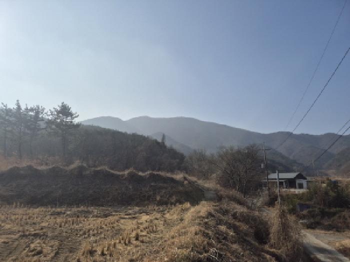 경주시 현곡면 남사리 임야 경매 물건 사진