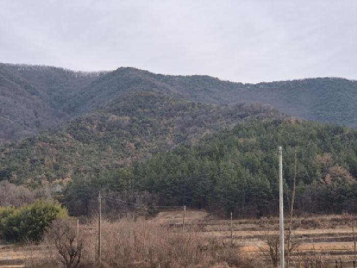 경주시 건천읍 대곡리 임야 경매 물건 사진