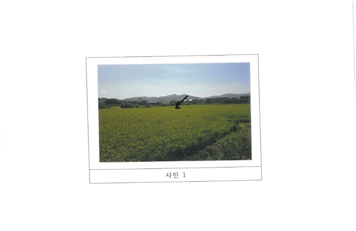 김천시 문당동 384-10 답 경매 물건 사진