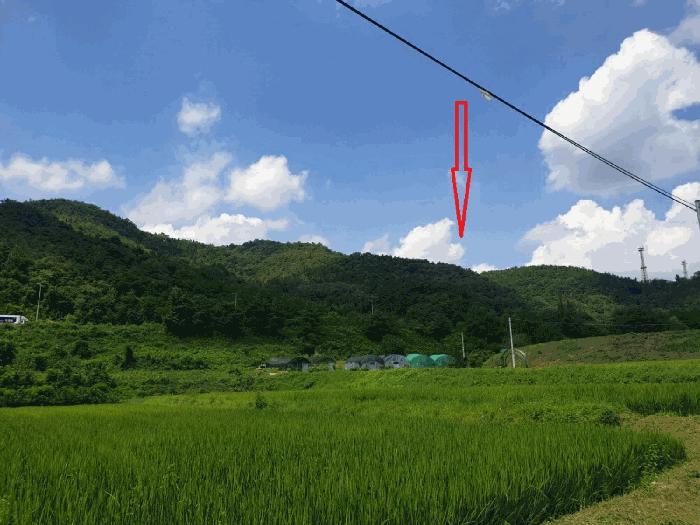 구미시 장천면 명곡리 전 경매 물건 사진