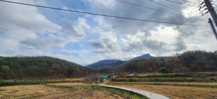 구미시 금전동 산14-1 임야 경매 물건 사진