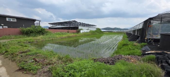 김천시 개령면 황계리 답 경매 물건 사진