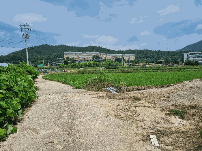 구미시 산동읍 인덕리 답 경매 물건 사진